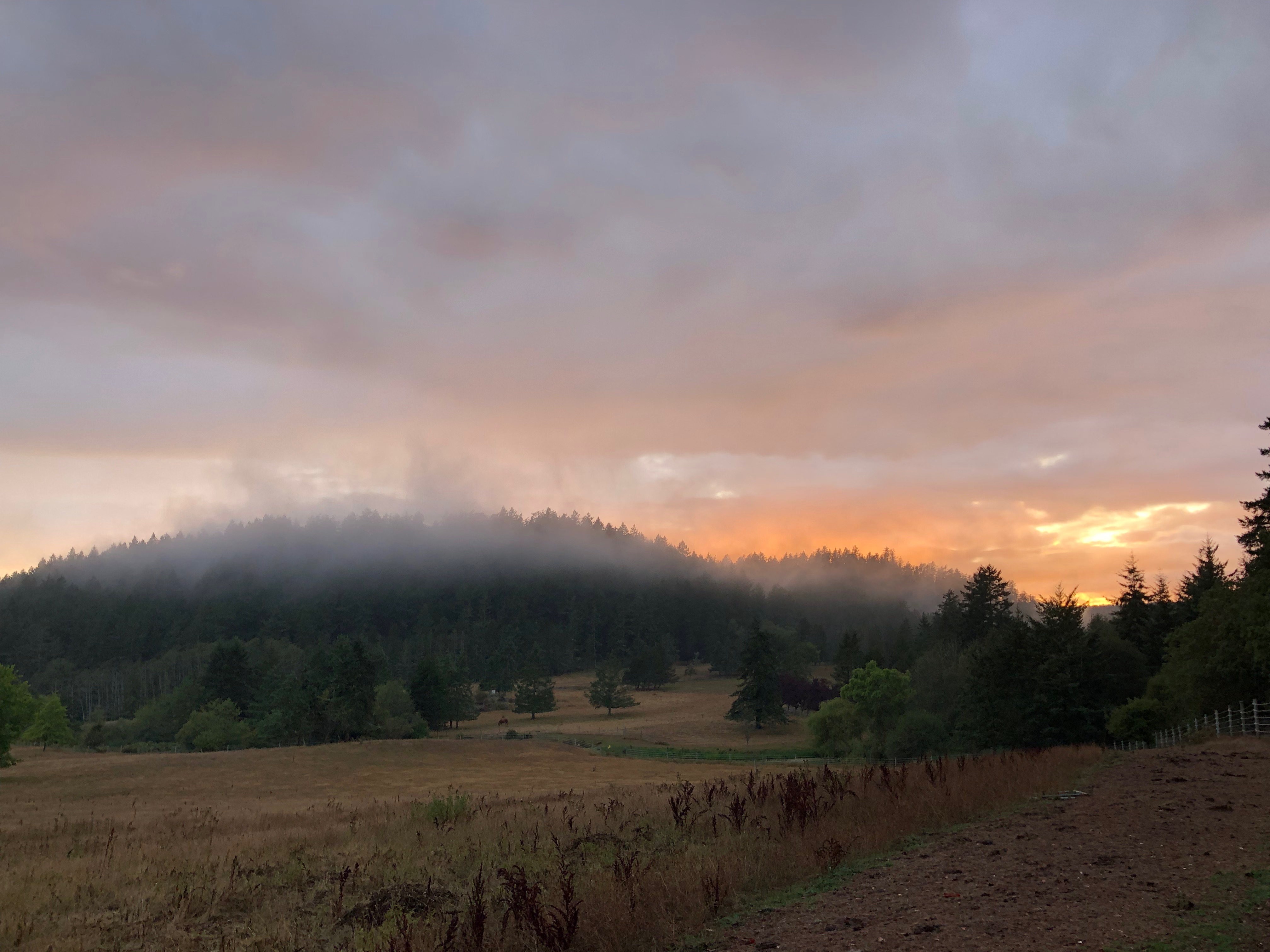 Slideshow image 7